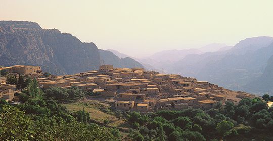 Entre nature et désert - Privé - Jordanie pas cher photo 4