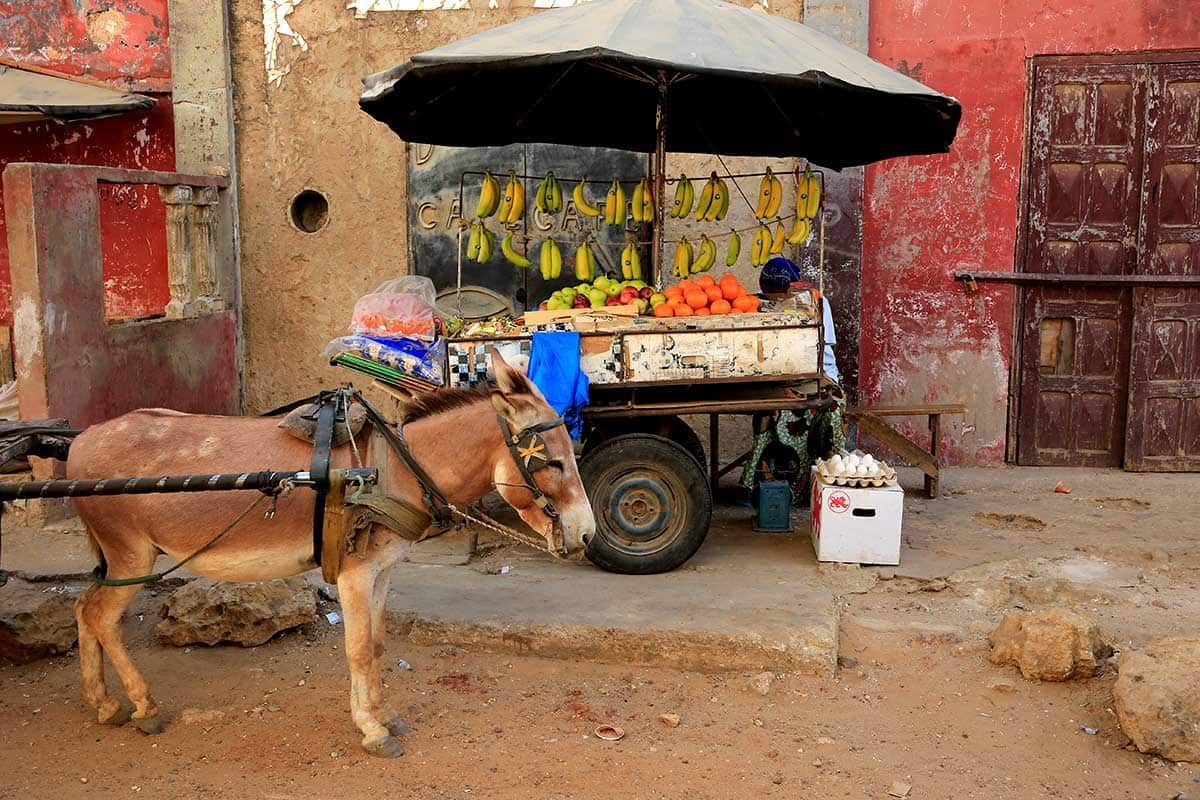 Circuit Grand tour du Sénégal pas cher photo 1