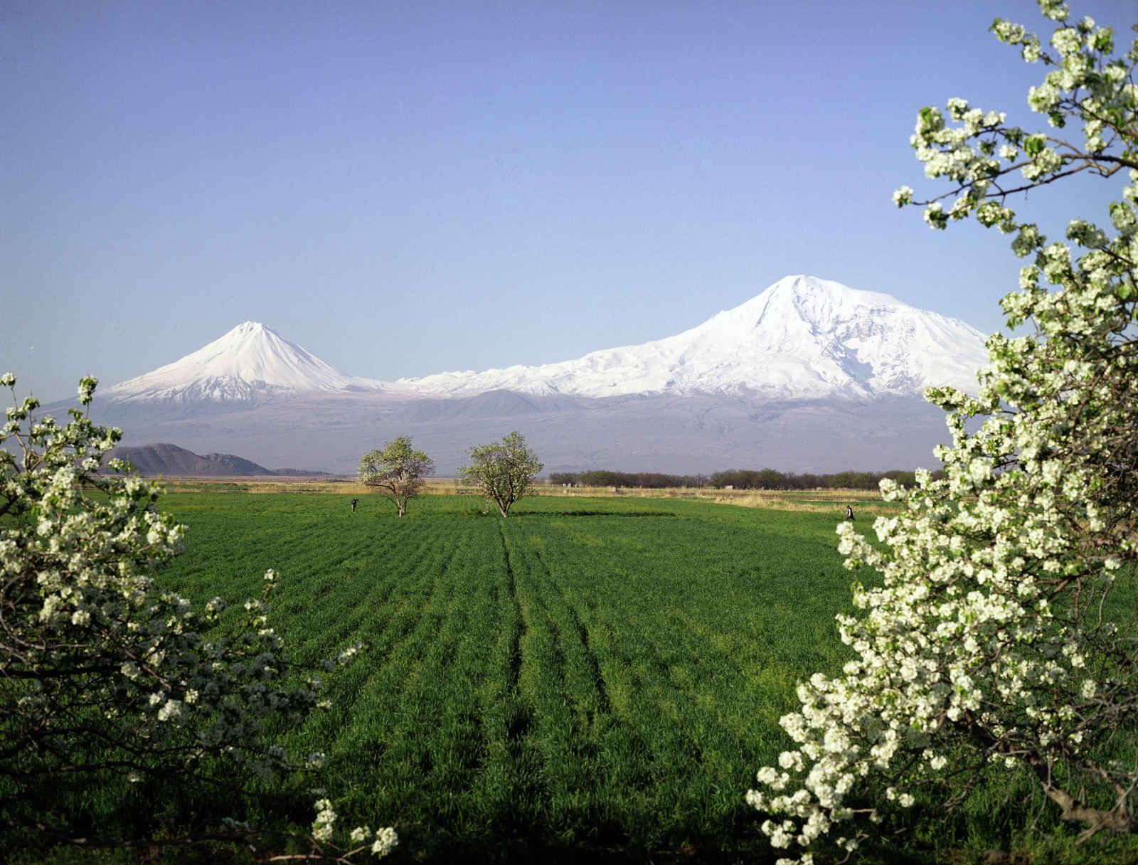 Armenia sacra pas cher photo 1