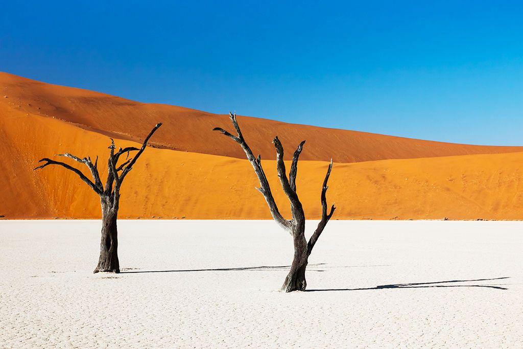L'essentiel de la Namibie pas cher photo 1
