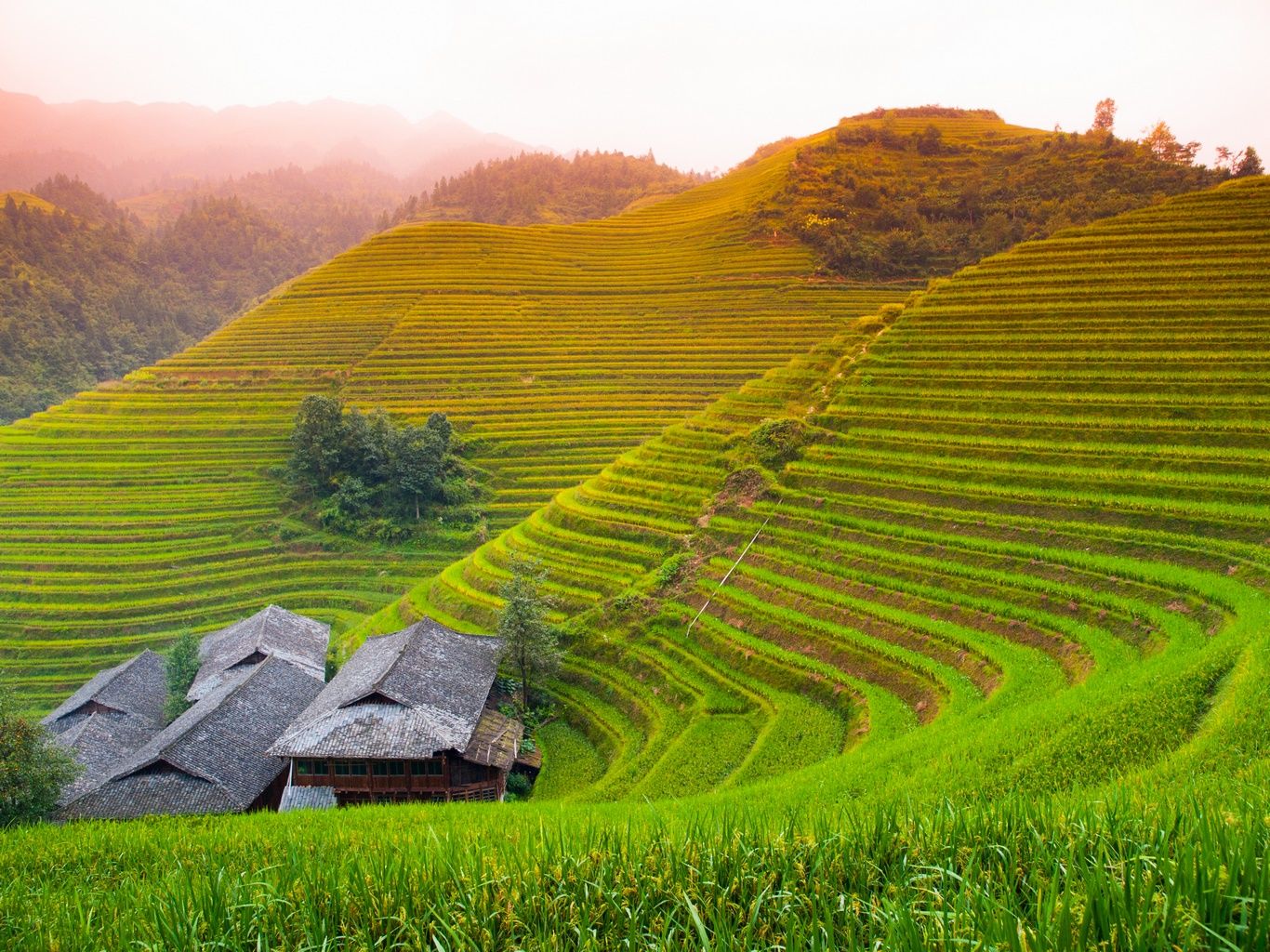 GRANDE DECOUVERTE DE LA CHINE + EXTENSION HONG KONG - 17J/14N - 2020 pas cher photo 6