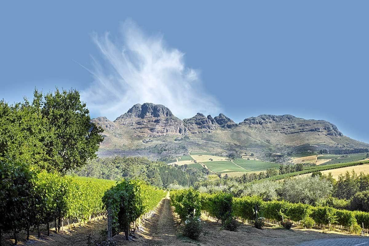 Sensationnelle Découverte Sud Africaine avec extension Victoria Falls pas cher photo 6