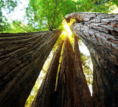 Splendeurs de l'Ouest des USA & extension New York 14J/12N - 2020 pas cher photo 10