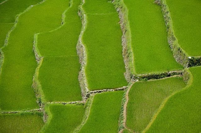 Couleurs Philippines pas cher photo 5