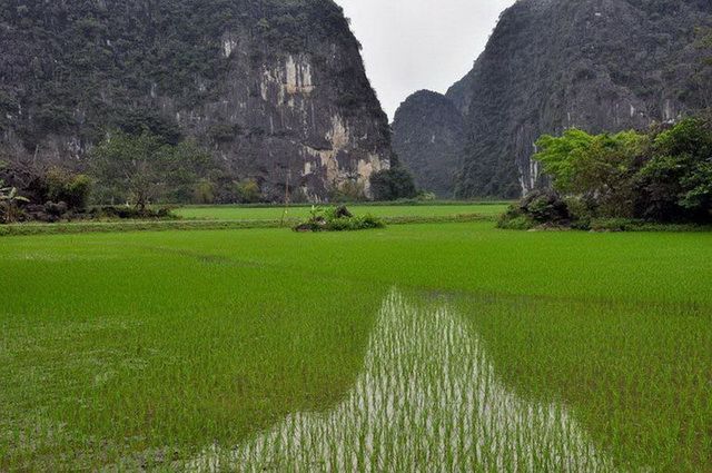 Mosaïque Vietnamienne pas cher photo 7