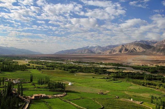 Horizons Ladakh - Inde pas cher photo 10