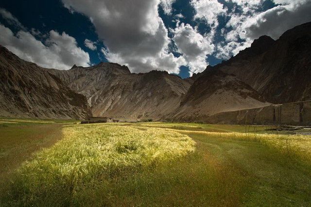 Horizons Ladakh - Inde pas cher photo 12
