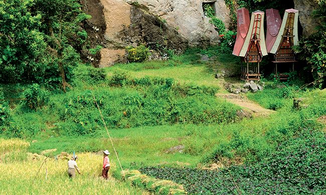 LUMIÈRES D'INDONÉSIE & CÉLÈBES pas cher photo 4