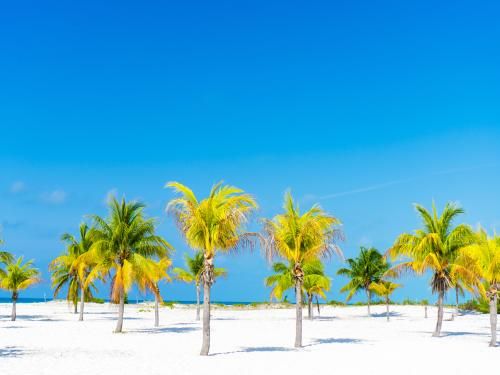 Circuit Cuba en grand 3*/4* pas cher photo 3