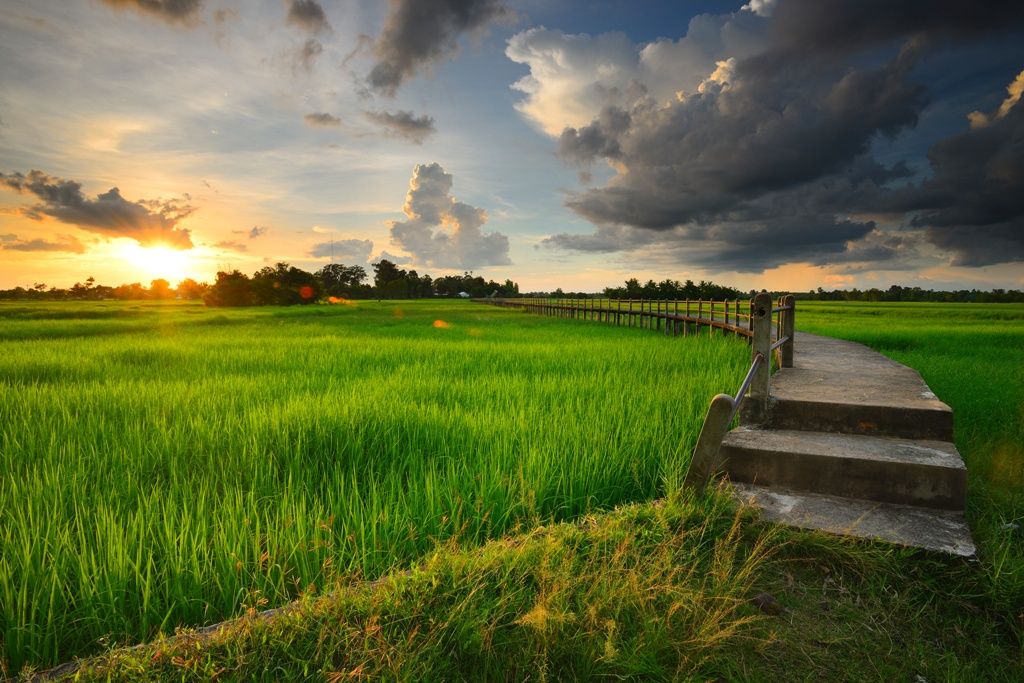 GRANDE DECOUVERTE DE LA CHINE ET HONG KONG 19J/16N pas cher photo 3