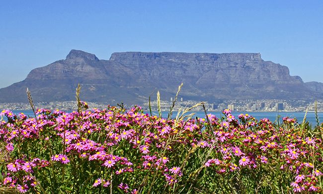 Autotour L'AFRIQUE DU SUD EN FAMILLE pas cher photo 10