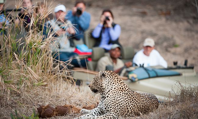 Autotour L'AFRIQUE DU SUD EN FAMILLE pas cher photo 12