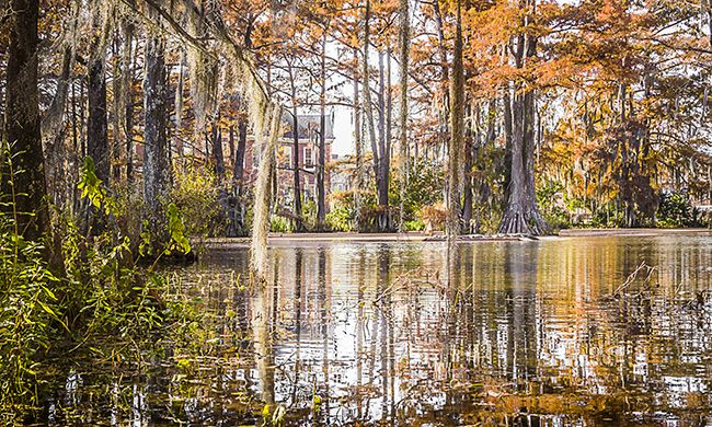 1ER REGARD ETATS DU SUD & MUSIQUE pas cher photo 5
