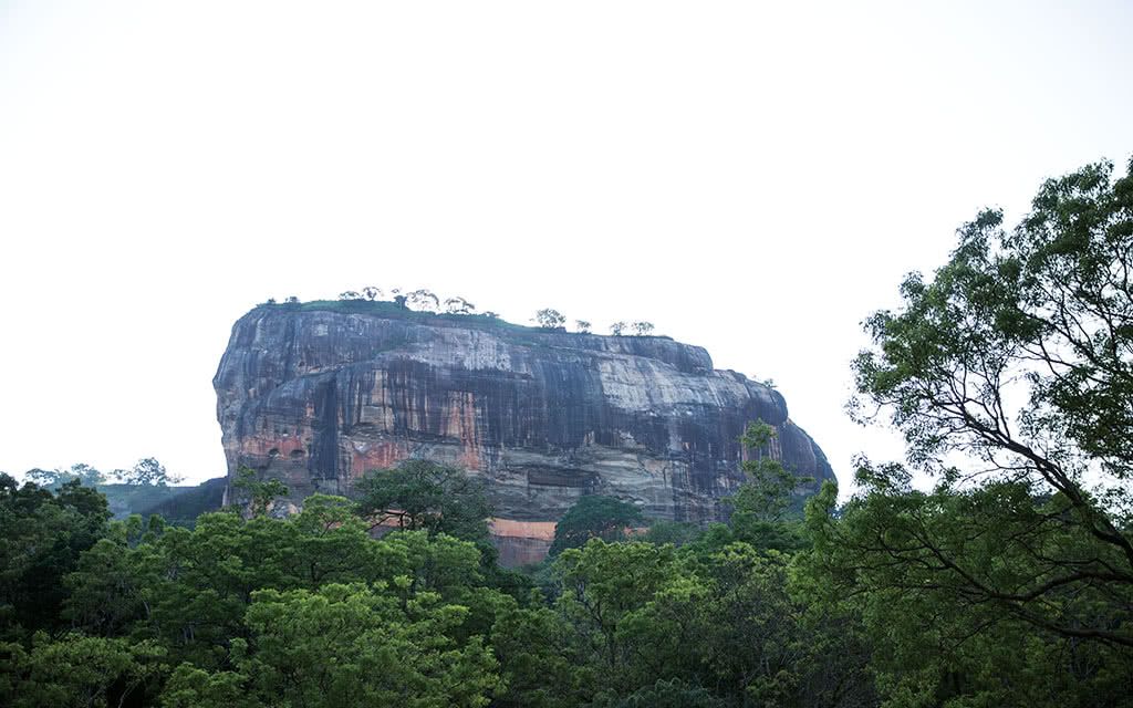 Circuit Les Incontournables du Sri Lanka - spécial Collection Privée 5 - 10 nuits pas cher photo 5