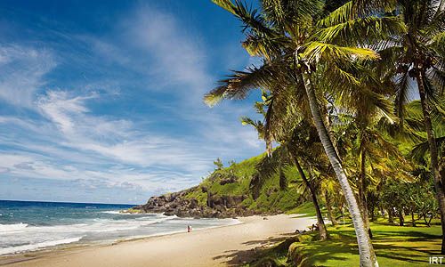 INDISPENSABLE REUNION & MAURICE pas cher photo 9