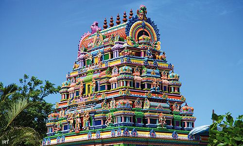 INDISPENSABLE REUNION & MAURICE pas cher photo 11