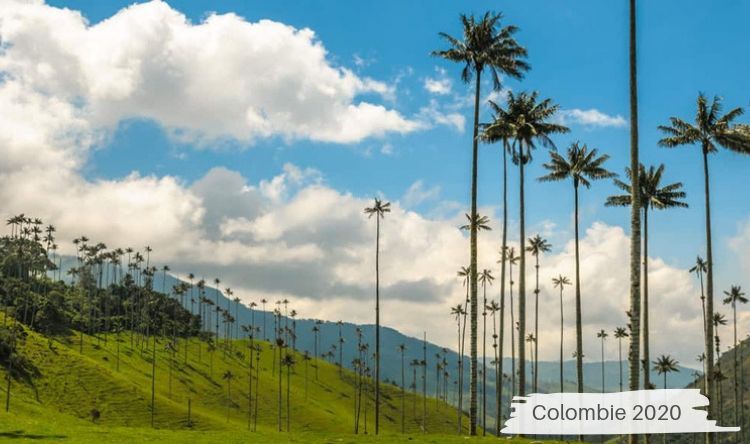 COLOMBIE A L'ESSENTIEL pas cher photo 1