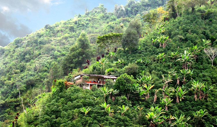 COLOMBIE A L'ESSENTIEL pas cher photo 5