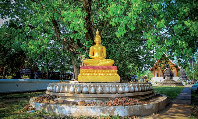 INDISPENSABLE LAOS + EXTENSION SUD pas cher photo 10