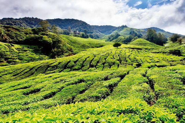 La Péninsule Etincelante - Malaisie + city break Singapour 3*sup pas cher photo 1