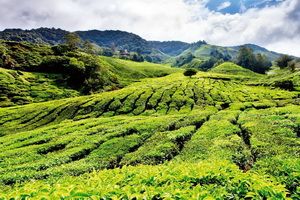 La Péninsule Etincelante - Malaisie + city break Singapour 3*sup pas cher photo 2