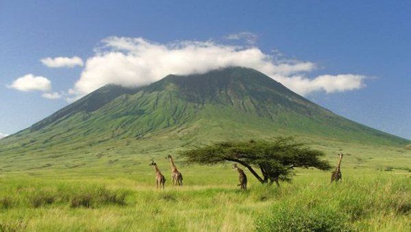 Safari Evasion Sauvage en Tanzanie pas cher photo 1