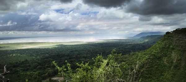 Safari Evasion Sauvage en Tanzanie pas cher photo 4