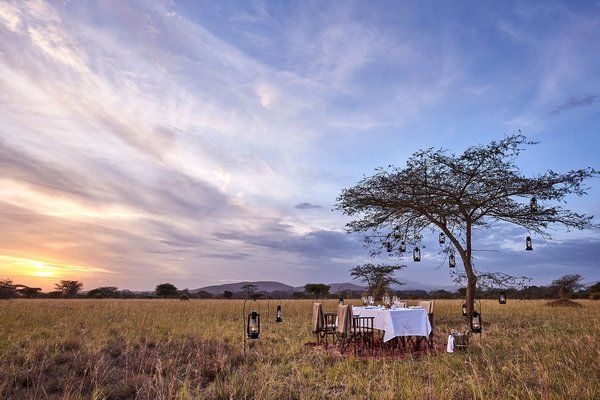 Safari Evasion Sauvage en Tanzanie pas cher photo 5