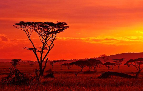 Safari Evasion Sauvage en Tanzanie pas cher photo 7