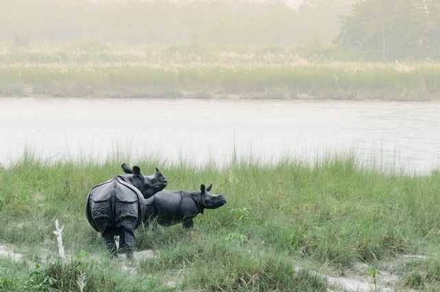 Népal Intimiste pas cher photo 10