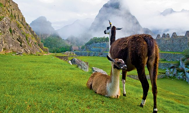 CONFIDENTIEL PEROU pas cher photo 9