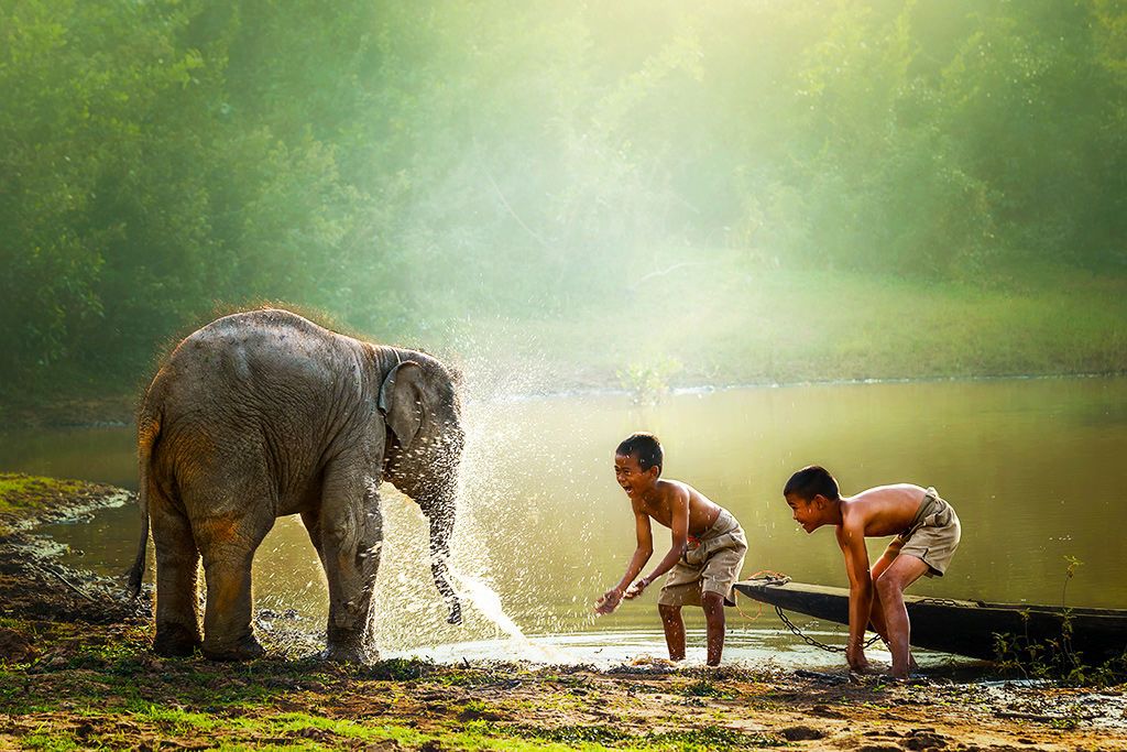 Merveilleux Laos & Cambodge 3 & 4* pas cher photo 8