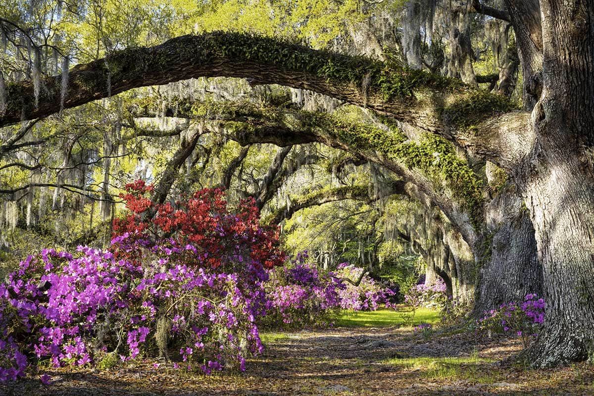 Circuit De New York à Miami, la côte Est du nord au sud pas cher photo 1