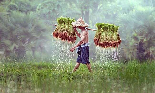 CONFIDENTIEL INDOCHINE pas cher photo 1