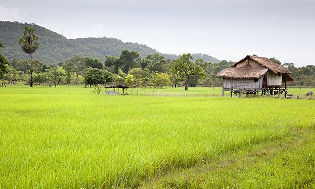 CONFIDENTIEL INDOCHINE pas cher photo 3