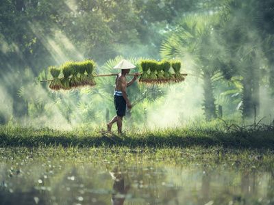 Le Vietnam en Etapes 4* Charme & en Privatif pas cher photo 1