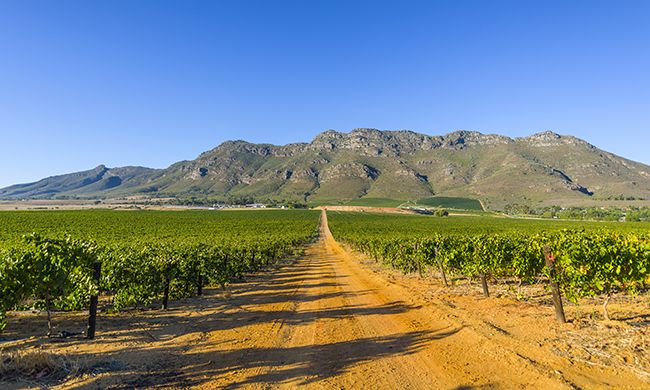 1ER REGARD AFRIQUE DU SUD + CHUTES VICTORIA pas cher photo 8