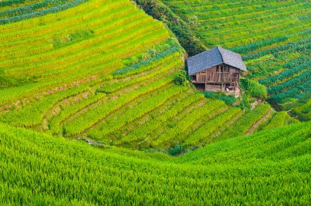 Chine Intimiste pas cher photo 1