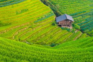 Chine Intimiste pas cher photo 2