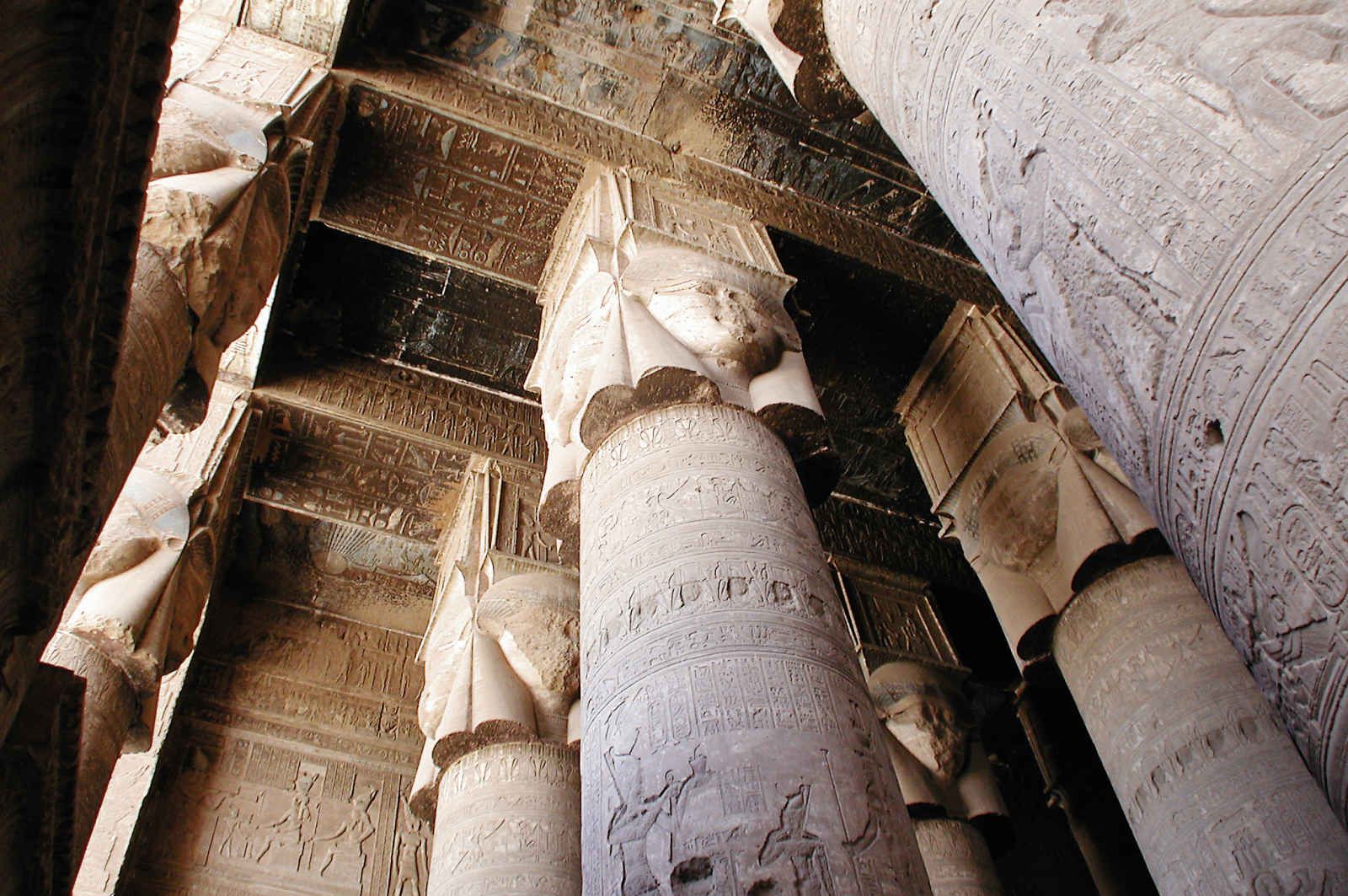 Le secret des hiéroglyphes pas cher photo 9