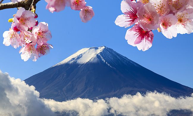 1ER REGARD JAPON pas cher photo 2