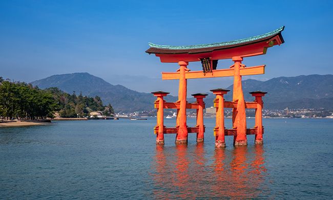 1ER REGARD JAPON pas cher photo 3