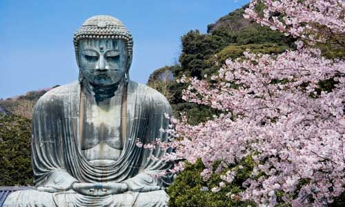 1ER REGARD JAPON pas cher photo 4