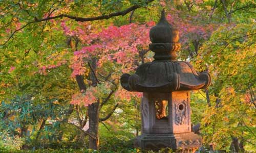 1ER REGARD JAPON pas cher photo 5