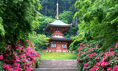 1ER REGARD JAPON pas cher photo 11