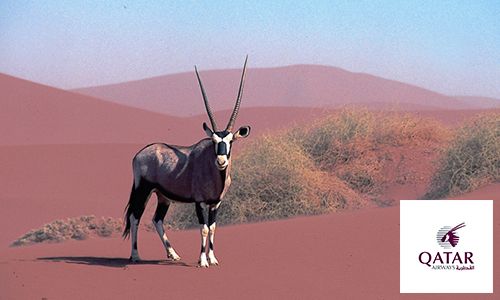 1ER REGARD NAMIBIE pas cher photo 3