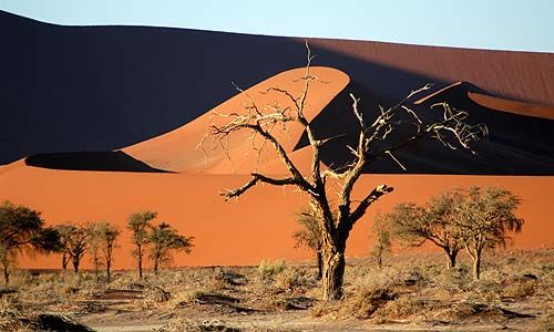 1ER REGARD NAMIBIE pas cher photo 7