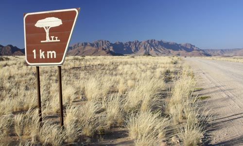 1ER REGARD NAMIBIE pas cher photo 8