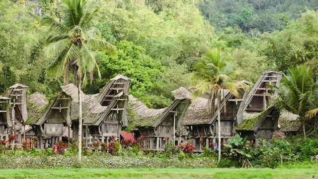 Splendeurs d'Indonésie & des Célèbes 15J/12N - 2020 pas cher photo 9
