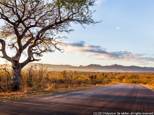 Circuit Trésors sud-africains + extension Chutes Victoria pas cher photo 3